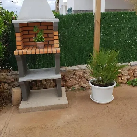Delfines Cala Blanca (Menorca)