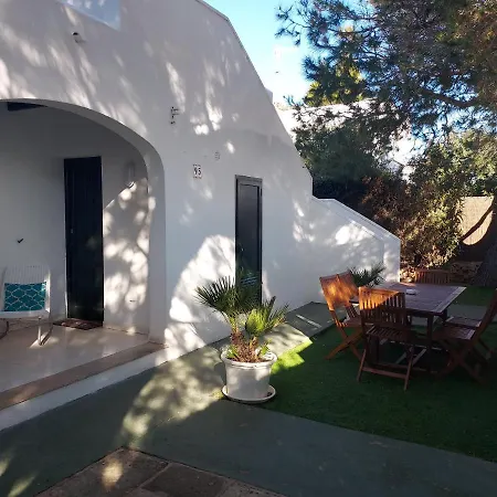 Delfines 卡拉布兰卡