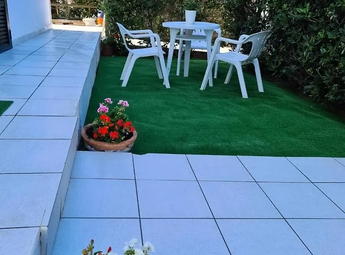 Delfines Cala Blanca (Menorca)