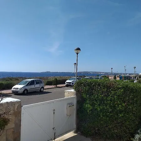 Delfines Cala Blanca (Menorca)