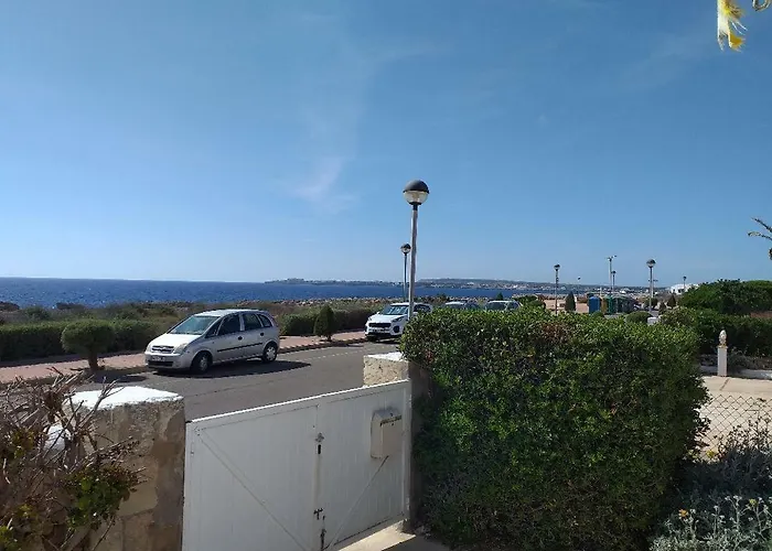 Delfines Cala Blanca (Menorca)